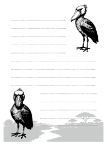 便箋（ハシビロコウ）